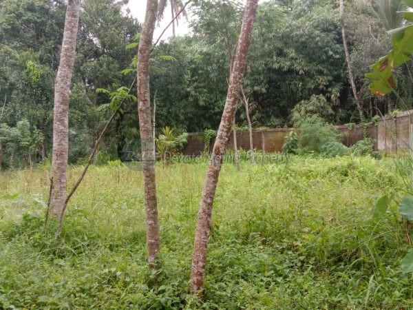 Land for sale in Tampaksiring | Reasonable price