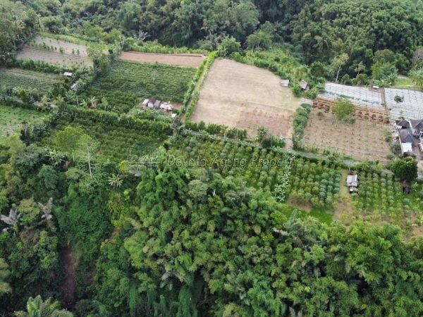 13100 sqm Land for sale in Tegal alang with valley, river and rice field view