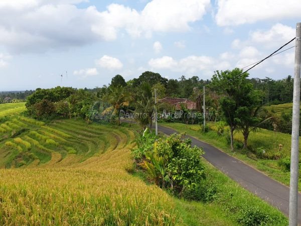 2000 square meter  land for sale in Selemadeg Timur nearby Echo Wisata Gunung Salak