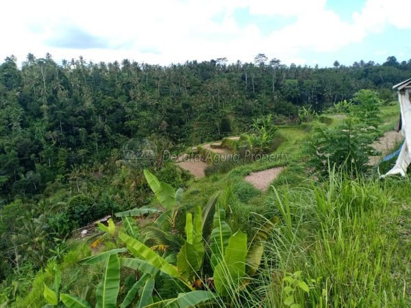 140000 square meter land for sale in Payangan, Ubud