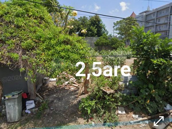 250 Square meter land for sale in Bidadari, Seminyak