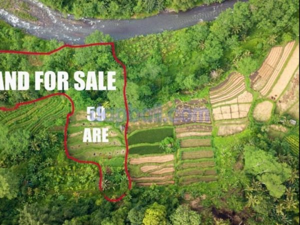 6000 sqm land for sale in Sidemen with Telaga waja river view