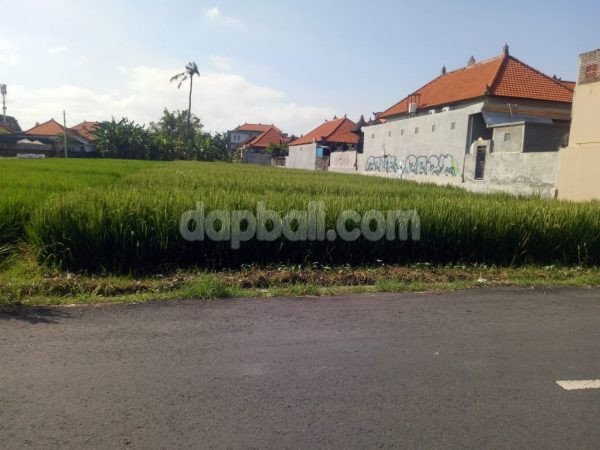 1200 sqm Land for lease in main road Tanah Barak, Pererenan