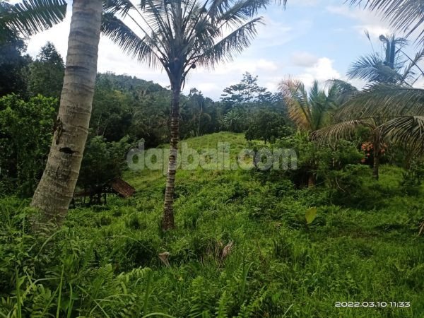 5800 sqm exotic land in Kementug, Gunung Salak, Tabanan