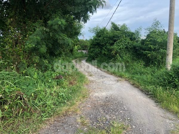 3800 sqm land for sale in Jl. Pantai Siyut, Gianyar