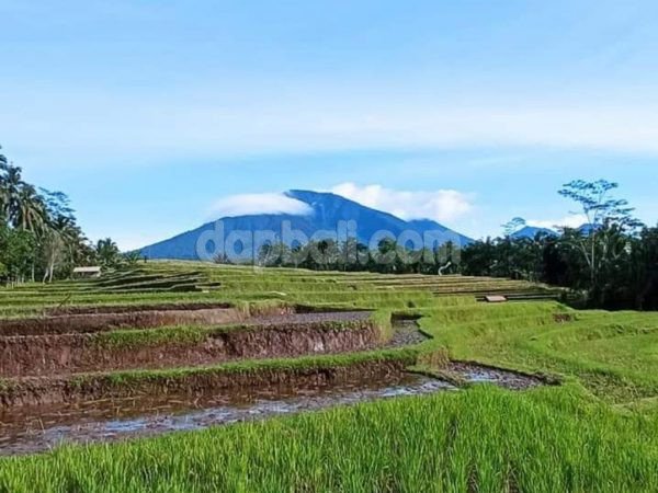 Exotic 8900 sqm land for sale with perfect rice field, ocean, mountain and sunset view in Gunung Salak, Tabanan