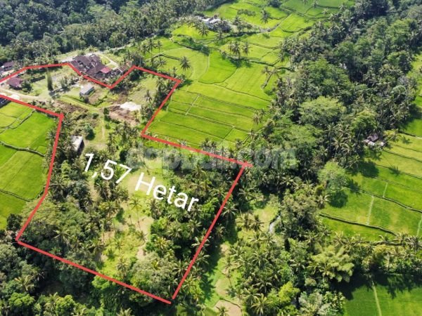 20000 sqm strategic land for sale in Ubud, Gianyar with rice field view