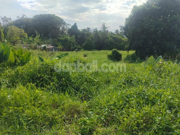 1275 sqm land for sale in Pererenan with 1.5 km distance to Pererenan Beach