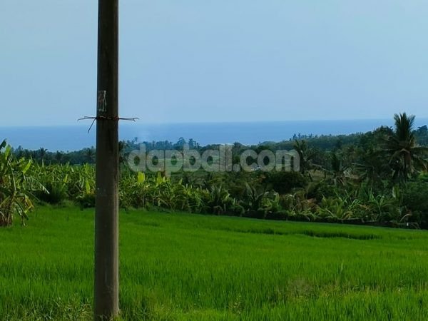 6.840 sqm land for sale in Berembeng, Selemadeg Tabanan