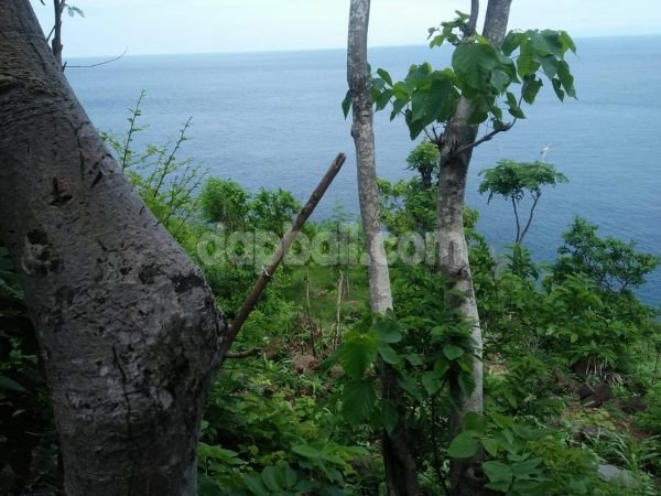 8980 - 4000 sqm cliff front land for sale near Amed, Karangasem