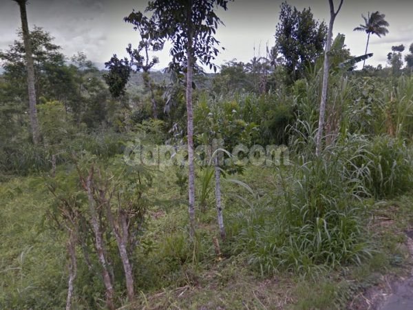 1.31 hectare beautiful land for sale in Tegal Lalang with valley and alive river at the end.