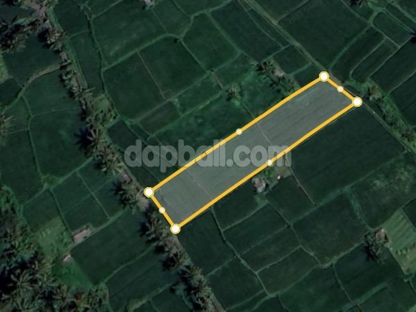 1900 sqm land in Ubud with absolute rice field and mountain view