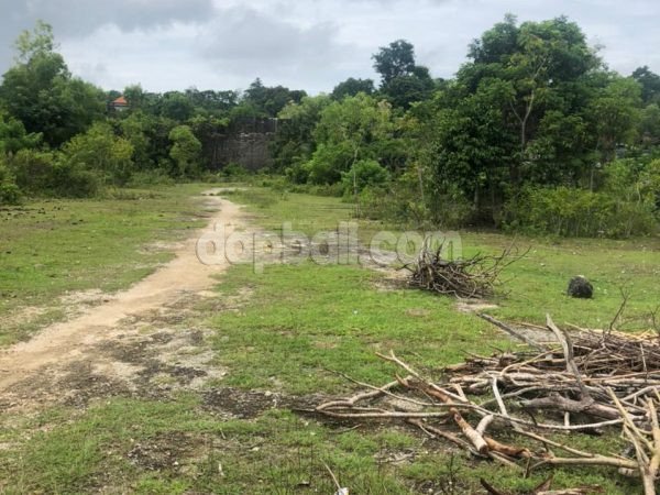 2.3 ha Flat land for sale in Tulip, Ungasan, Kuta Selatan