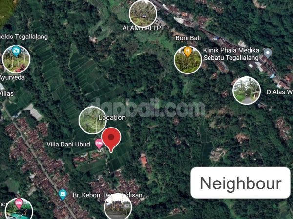 1500 sqm beautiful land in Ubud, Gianyar with perfect rice field and jungle view