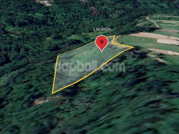 1130 sqm exquisite land in Tegallalang with perfect jungle and valley scenery