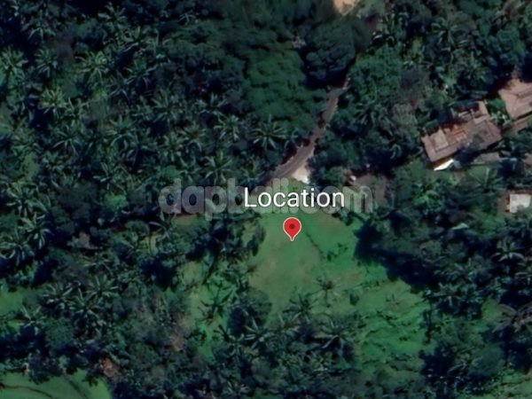 4300 sqm dry land ( Moor ) for freehold sale in Tegallalang, Gianyar