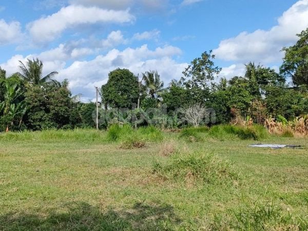 2400 sqm tranquil land with private access down to the river in Buwit, Tabanan