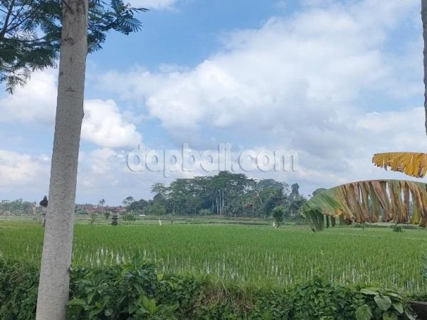 750 sqm vacant land in the villa complex and close to the resort, Ubud, Gianyar