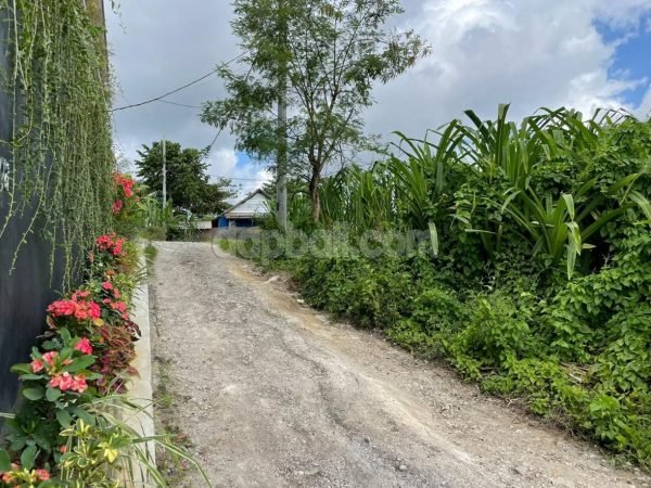 1000 sqm land in Tumbak Bayuh with perfect 3,3,4 are plotting