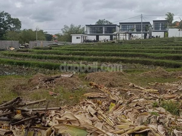 Piece of land with 390 sqm in Jl. Pantai Batu Mejan, Canggu, Bali