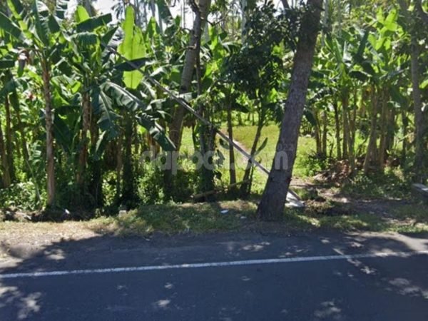 30.750 sqm river front land in the side of Jl. Raya Denpasar - Gilimanuk