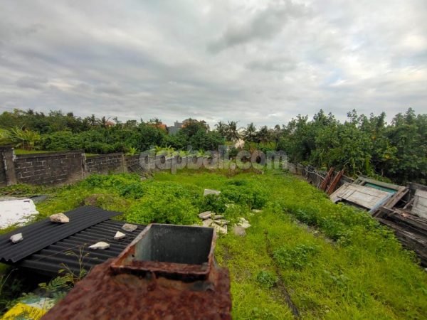 415 sqm land with absolute rice field and jungle view in Pererenan