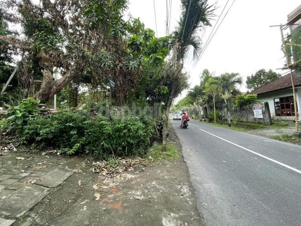 785 sqm vacant road side land in Babakan, Canggu