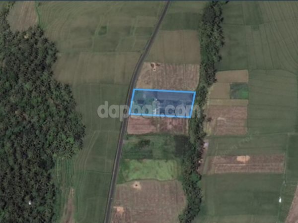 1800 sqm farming land in Sembung, Tabanan