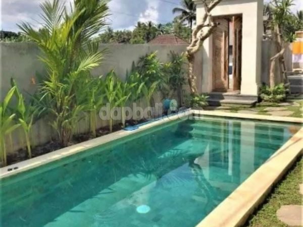 Tropical villa with big swimming pool in Pejeng, near Ubud