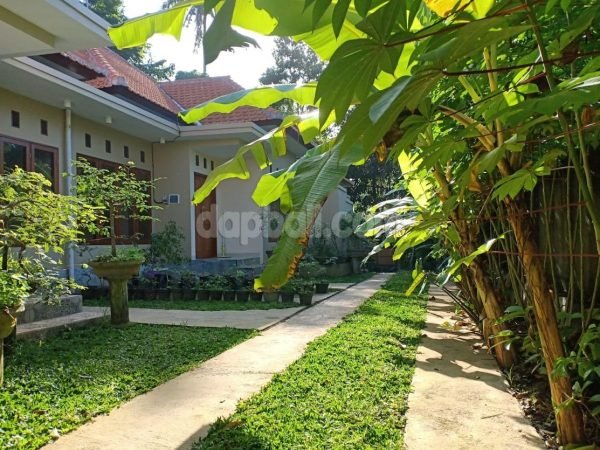 7 unit villa / homestay in Kemenuh, Gianyar