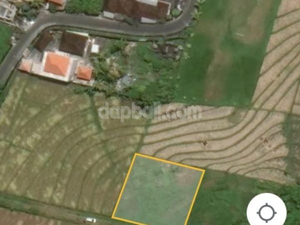 1000 sqm vacant land with absolute rice field view in Nyanyi, Tabanan