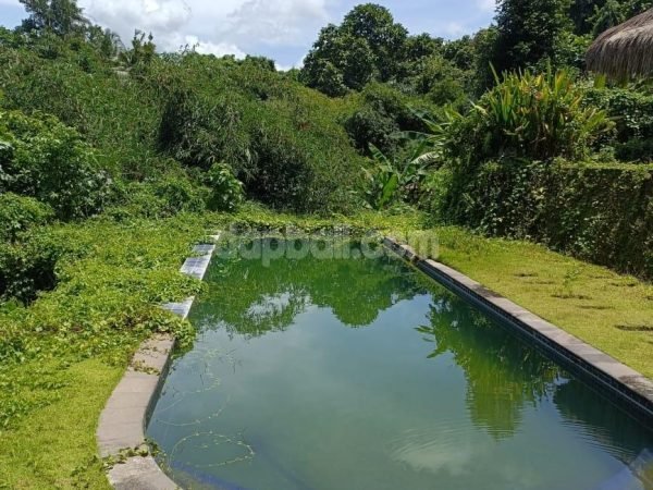 2260 sqm land with old villa building in Cepaka, Tabanan