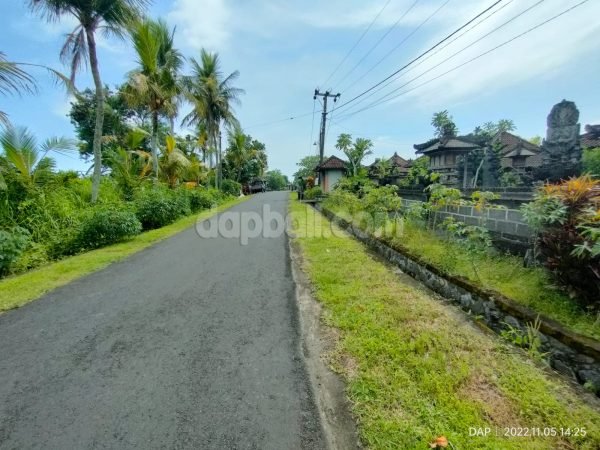 2900 sqm river front land for sale in Selemadeg, Tabanan