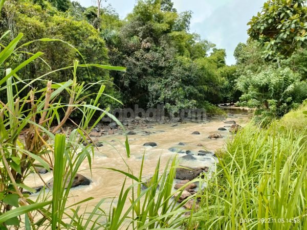 1.12 ha river front land in Tabanan, Bali offer a reasonable price