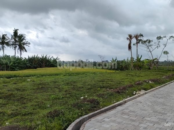 300 sqm lot in a cluster of Pemaron, Munggu