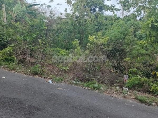 200 sqm vacant land  for sale in Ungasan, Bali