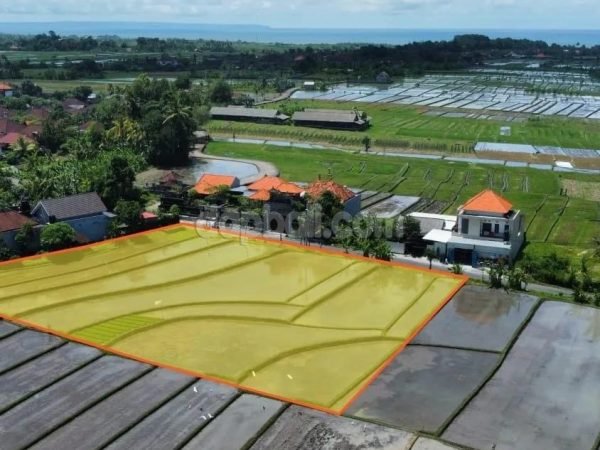 2600 sqm full view land for sale in Kelating, Tabanan