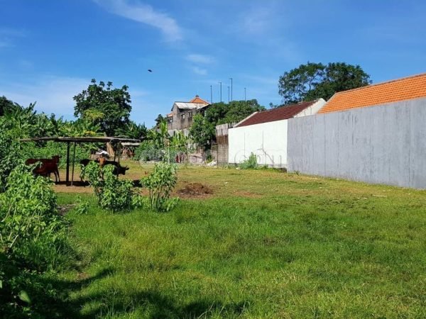 1560 sqm commercial land for sale in Bumbak, Umalas