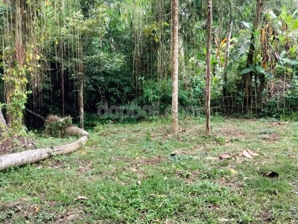 1400 sqm riverfront land in Tegallalang, Ubud, Gianyar