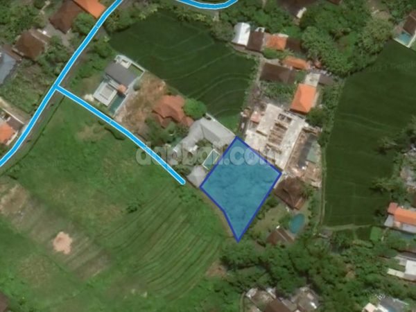 1000 sqm residential land for sale in Babakan, Canggu