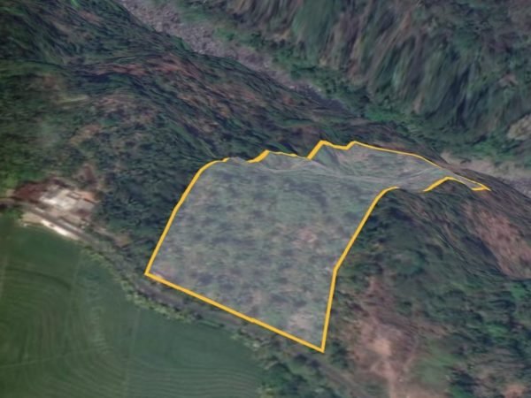 Huge plantation land with 21.680 sqm size in Tabanan