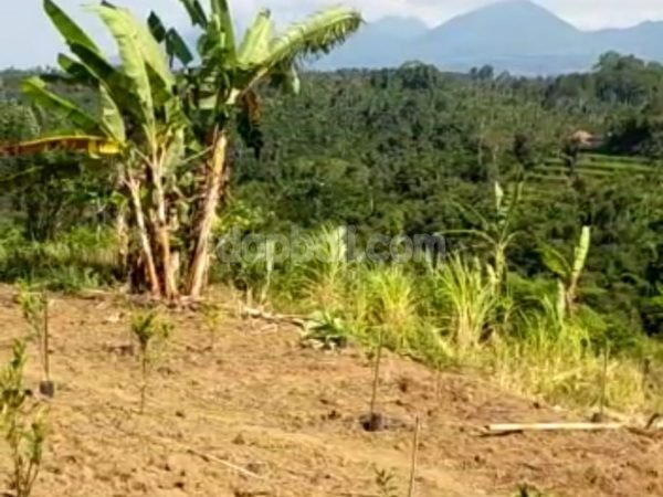 5.6 ha river front land with jungle and mountain view in Payangan, Gianyar