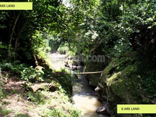 5600 sqm riverfront land with perfect jungle view in Kaba - Kaba, Tabanan