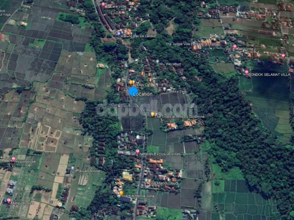 9700 sqm flat and terrace land with directly face to the river in Singakerta, Ubud