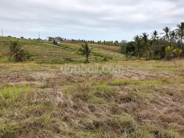 20588 - 10.400 sqm ( 1.04 ha ) land for sale in Antap, Selemadeg, Tabanan