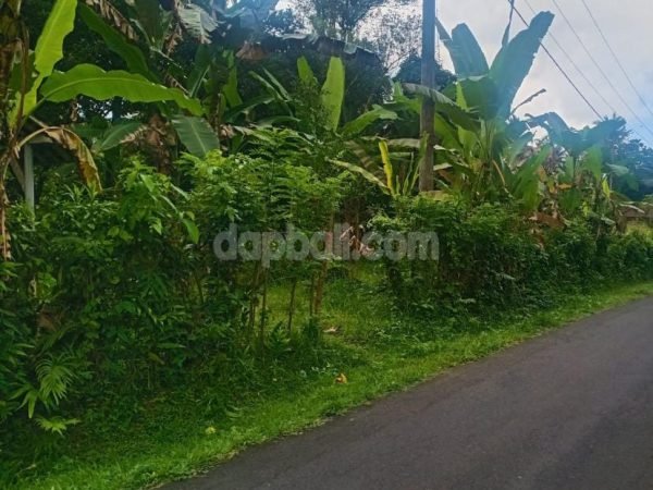 20742 - 1.18 ha plantation land for sale in Selemadeg, Tabanan