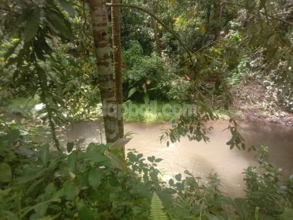 2200 sqm premium land with river in  Sayan, Ubud