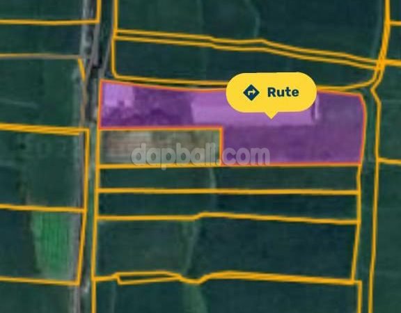 1336 sqm vacant land with rice field scenery in Singapadu, Gianyar