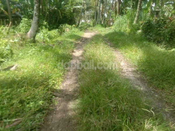 3500 sqm river front land for sale in Perean, Tabanan