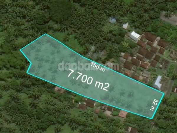 7700 sqm plantation land in Mambang, Selemadeg, Tabanan